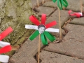 ev20150314_115305.JPG