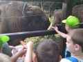 IMG_20200730_104416