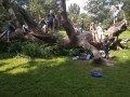 IMG_20200730_115523
