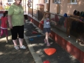 DSCF5338