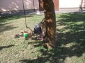 DSCF5340