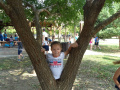 batch_DSC07091