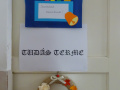batch_DSC07141