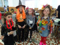 batch_DSC05550