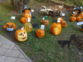 batch_DSC05552