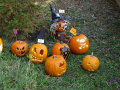 batch_DSC05554