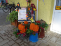 batch_DSC05558