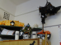 batch_DSC05590