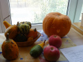 batch_DSC05595