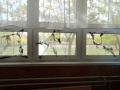 batch_DSC05633