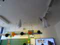 batch_DSC05645