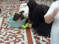batch_DSC05711