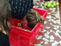 batch_DSC05712