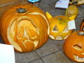 batch_DSC07460