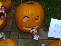 batch_DSC07461