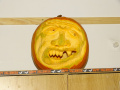 batch_DSC07502