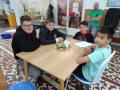 batch_DSC07666