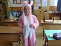 batch_DSC07748
