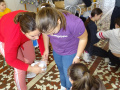 batch_DSC00949