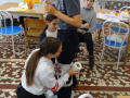 batch_DSC00953