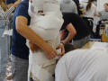 batch_DSC00963