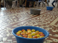 batch_DSC01010