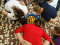 batch_DSC01013