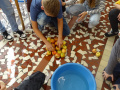 batch_DSC01020
