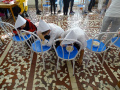 batch_DSC00900