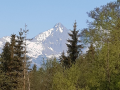 Hatartalanul_2023_12