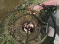 IMG_20220613_114124