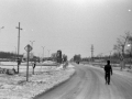 1983_Hovihar_02
