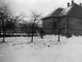 1983_Hovihar_03
