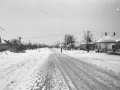 1983_Hovihar_04