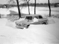 1983_Hovihar_14