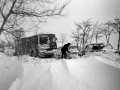 1983_Hovihar_15