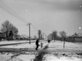1983_Hovihar_17