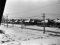 1983_Hovihar_18