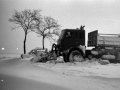 1983_Hovihar_20