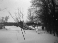 1983_Hovihar_21