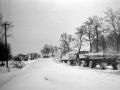 1983_Hovihar_22