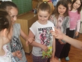 DSCF0431