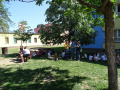 batch_DSC06209