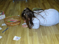 DSC02220