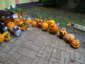 batch_DSC01261