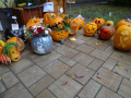 batch_DSC01262