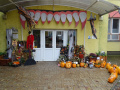 batch_DSC01265
