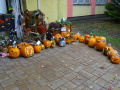 batch_DSC01266