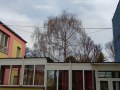 IMG_20220228_124401