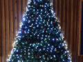 DSC01380